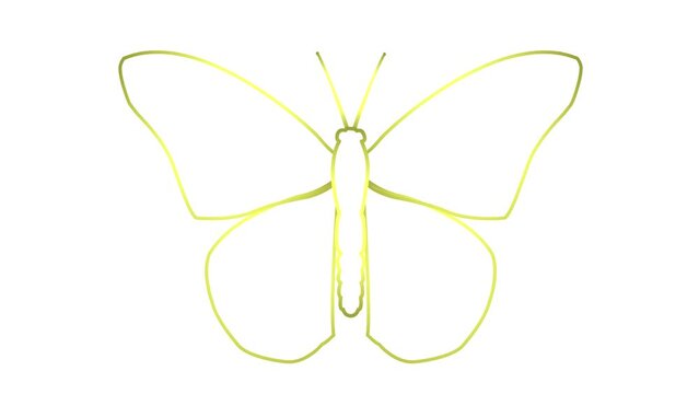 Animated golden line butterfly flaps wings. Linear symbol. Looped video. Vector illustration isolated on white background.