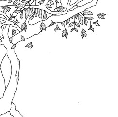 illustration of a branch with leave