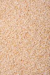 Raw white sesame seeds or grains in a bowl on a textured concrete background