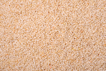 Raw white sesame seeds or grains in a bowl on a textured concrete background