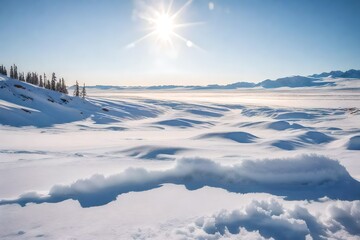 winter landscape with snow