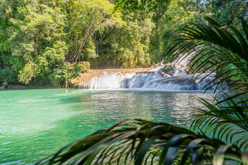 Roberto Barrios waterfalls with clear waters in tropical paradise in the jungle of  Mexico, Chiapas.