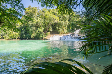 Roberto Barrios waterfalls with clear waters in tropical paradise in the jungle of  Mexico, Chiapas.