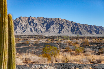 Reserva de la biosfera el Pinacate en Sonora, México