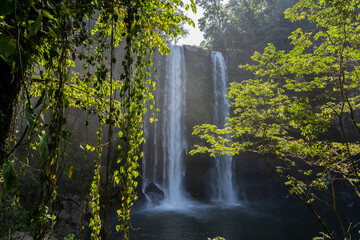 Beautiful Misol-Ha waterfall in the jungle in Mexico.