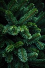 A detailed view of a pine tree, showcasing its green needles. This image can be used to depict nature, forests, or environmental themes.