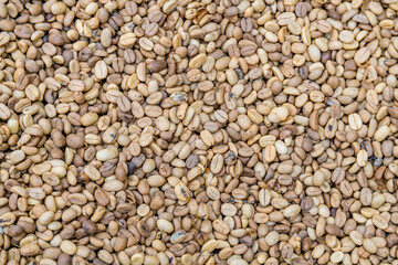 Background of coffee beans. Natural pattern