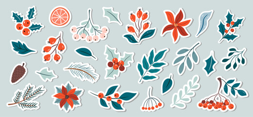 A set of winter plant stickers. Hand drawn christmas botany elements - obrazy, fototapety, plakaty