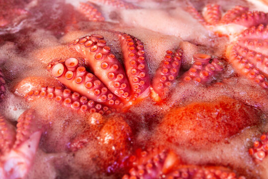 Octopus tentacle details in red broth
