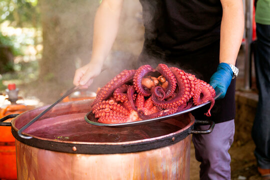 Anonymous chef preparing octopus in steaming pot