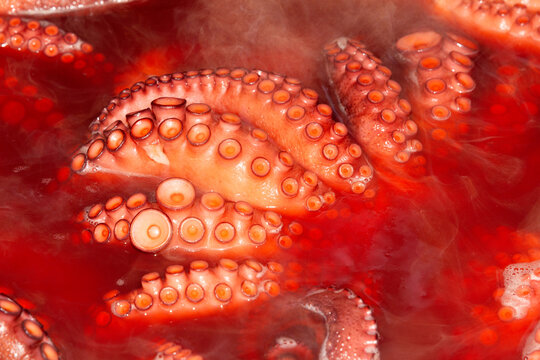 Octopus tentacle details in red broth