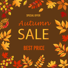 Autumn sale card design. Autumn fall concept with leaves. Quote - sale best price Seasonal poster concept. Typography design. Stock vector illustration on dark background