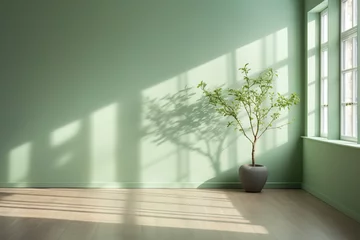 Foto op Plexiglas Minimalist background with green room interior, shadows on the walls. © Degimages