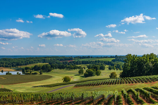 Landscape of Virginia Wine Country near Charlottesville, Virginia, USA