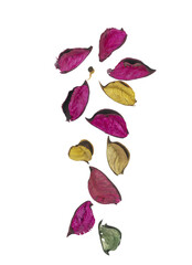 dried leaves flowers