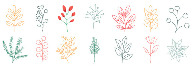 Set of hand drawn line winter botany elements. Holiday decoration. Vector illustration