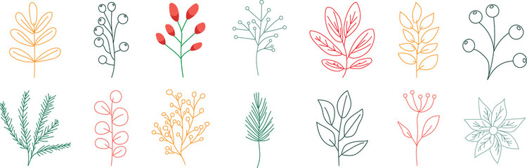 Set of hand drawn line winter botany elements. Holiday decoration. PNG