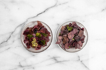 Close-up of dried and fresh edible seaweed for a meal