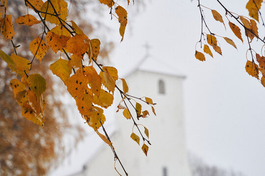 Images from the area of Hoffsvangen and Hoff Medieval Church, Toten, Norway, a snowy day in late October.