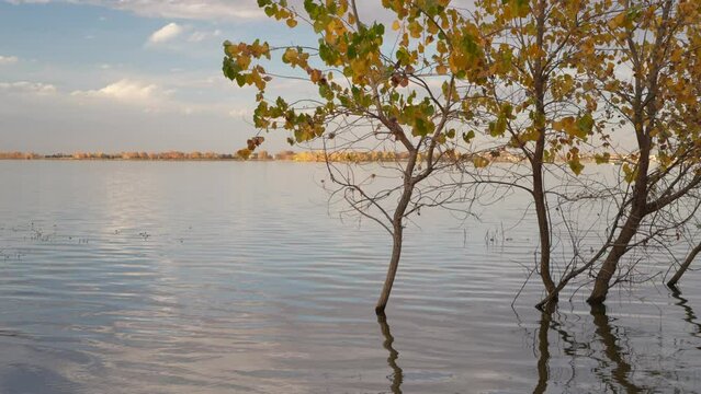 fall sunset scenery in Boyd Lake State Park in Loveland, Colorado with a light breeze