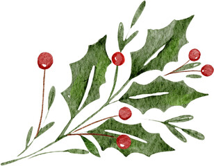 Obraz premium Christmas Berry Watercolor