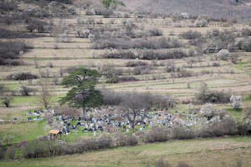 Scenic graveyard of a mountain village on Old mountain and large, old black pine tree - 670228485