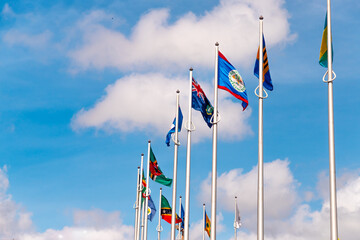flags of the caribbean - obrazy, fototapety, plakaty