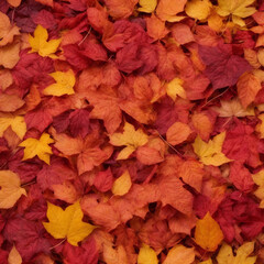 Naklejka na ściany i meble A bed of autumn leaves in various shades of red, orange, and yellow, creating a vibrant texture.