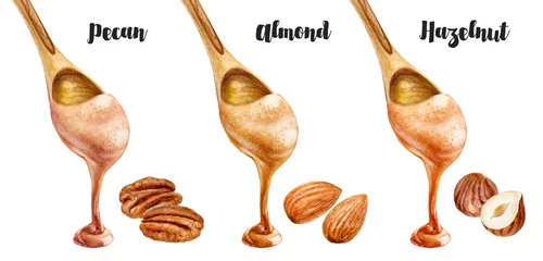 Fotobehang Watercolor illustration of nut butter set in wooden spoon close up. Pecan, almond, hazelnut. © cosmicanna