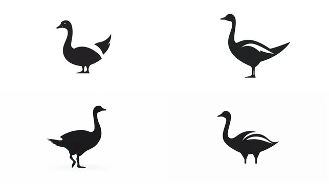 Vector goose silhouette Goose silhouette icon isola