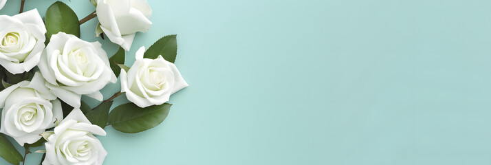 Pristine white roses arranged on a soft teal background with ample empty space for text on the right. Top view. Flat lay. Decorative banner