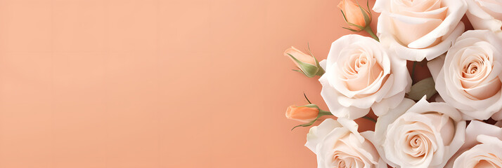 White roses isolated on light pastel peach background with empty space for text. Top view. Flat lay. Close up. Decorative banner. Peach fuzz 2024 color