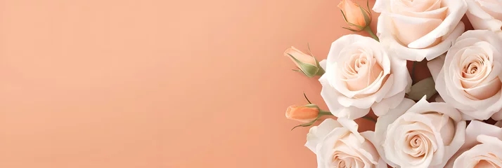 Papier Peint photo Pantone 2024 Peach Fuzz White roses isolated on light pastel peach background with empty space for text. Top view. Flat lay. Close up. Decorative banner. Peach fuzz 2024 color