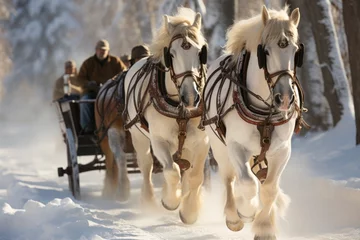 Fotobehang  Horse-drawn sleigh ride through a snow-covered forest © Hunman