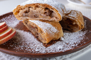 Paired pieces of delicious strudel stuffed with apples and cinnamon on a light plate on a light background. Place for writing. Close up view. Homemade Ukrainian pastries