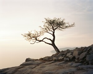 A lone tree on a rocky cliff overlooking the ocean. Generative AI.