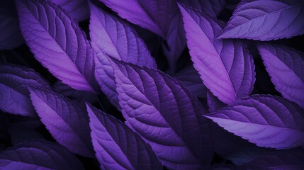 An abstract 8K close-up of the unique patterns and textures of Amethyst Azalea leaves.