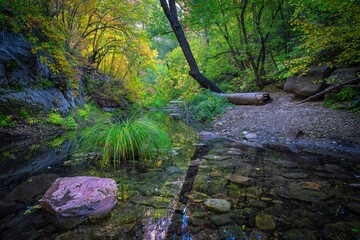 West Fork autumn green