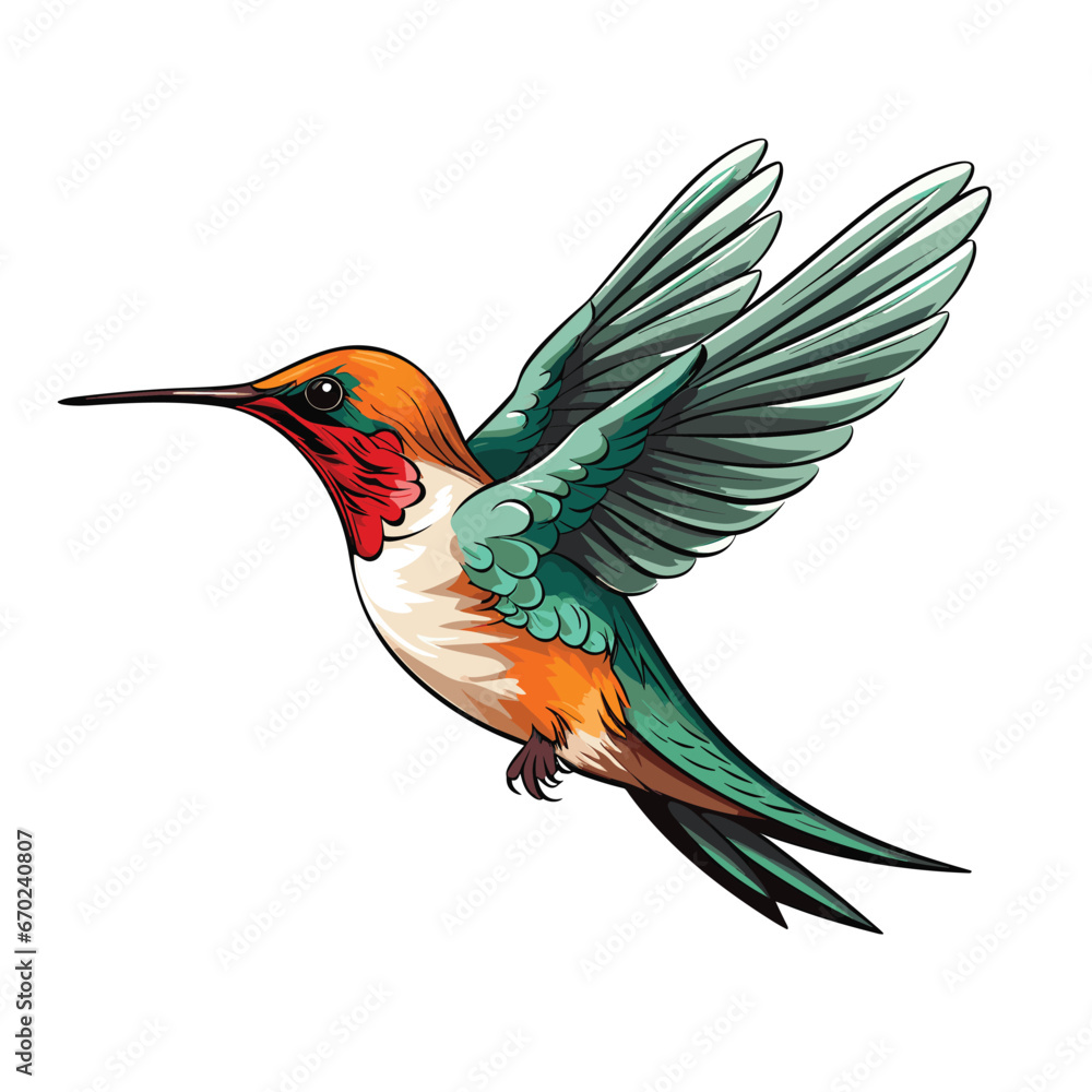 Wall mural Hand Drawn Flat Color Hummingbird Illustration