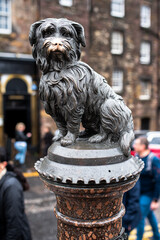 This statue of Greyfriars Bobby in Edinburgh. - obrazy, fototapety, plakaty