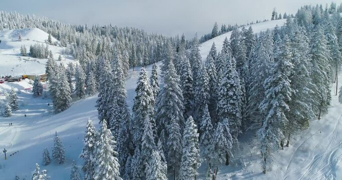 Aerial footage of snow covered trees and a mountain lodge