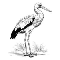 Foto op Plexiglas Hand Drawn Sketch Stork Bird Illustration © MstNasrinAktar
