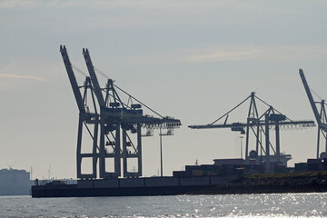 container crane in the port