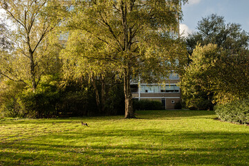 Amstelveen, The Netherlands, 2023
