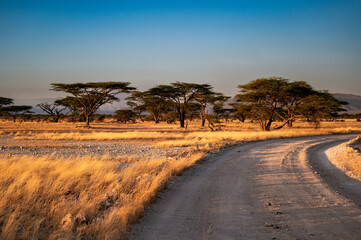 Samburu Nationalpark - Kenia