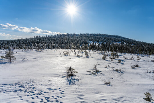 Sunny winter day at Cihadla peat-bog in Jizera Mountains, Czechia © pyty