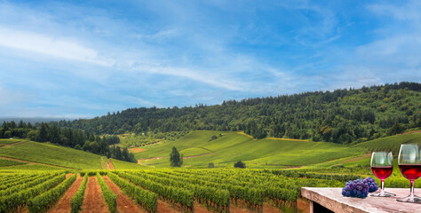 Scenic vineyard with wine glasses and grapes