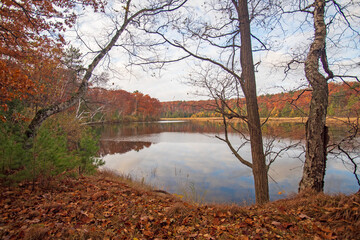Fototapeta premium AuSable River - Cooke Pond - Pine Acres - Huron National Forest
