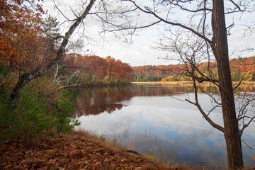 AuSable River - Cooke Pond - Pine Acres - Huron National Forest