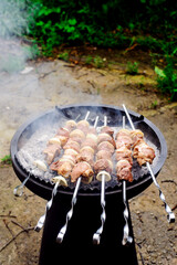 Pork Shashlik on the outdoor grill